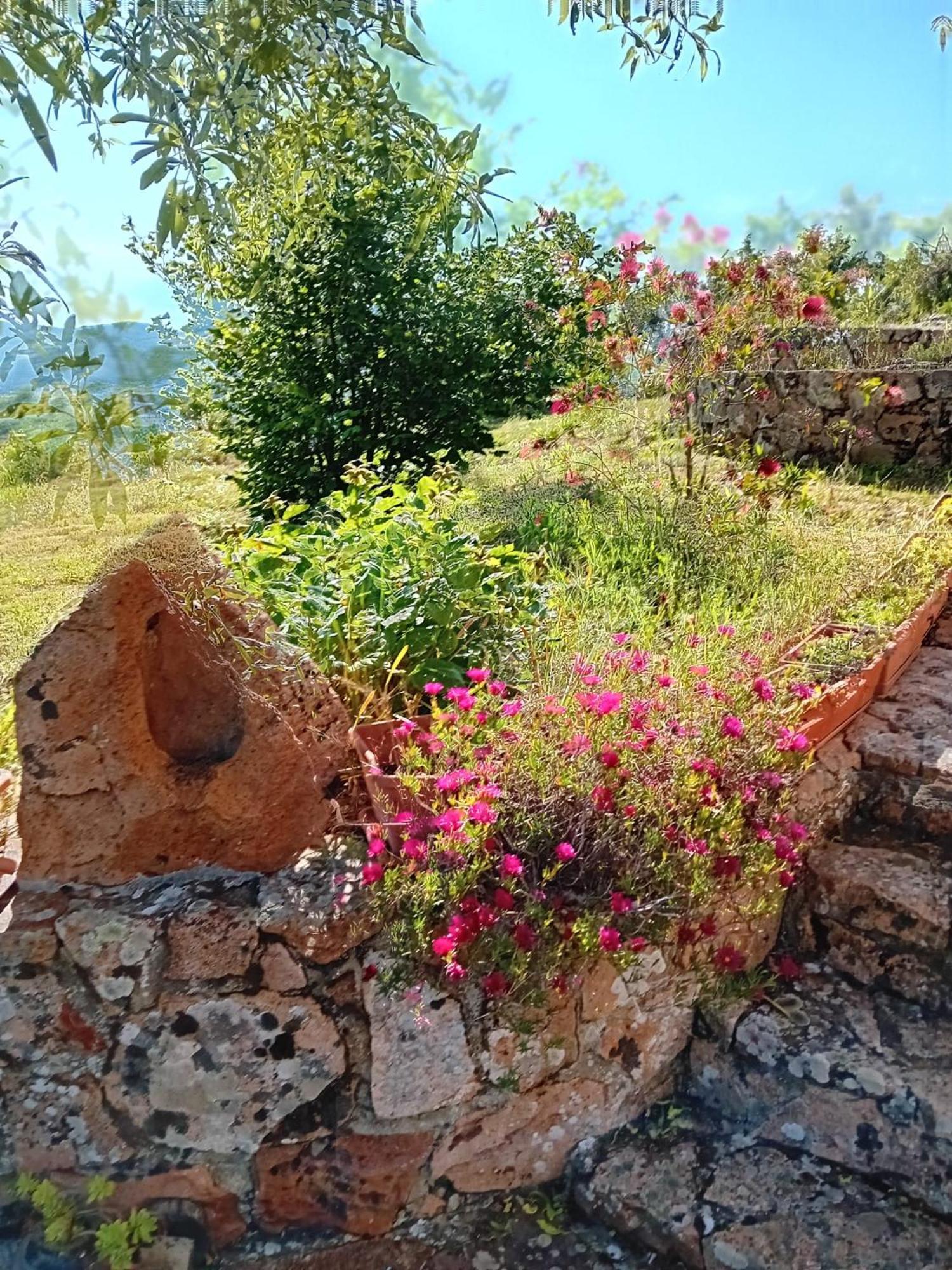 Lugori Bed & Breakfast Seùlo Екстериор снимка